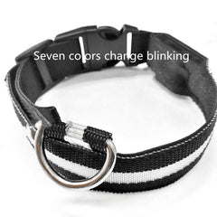 Anti-lost Luminous Collar Dog Tag Dog Collar